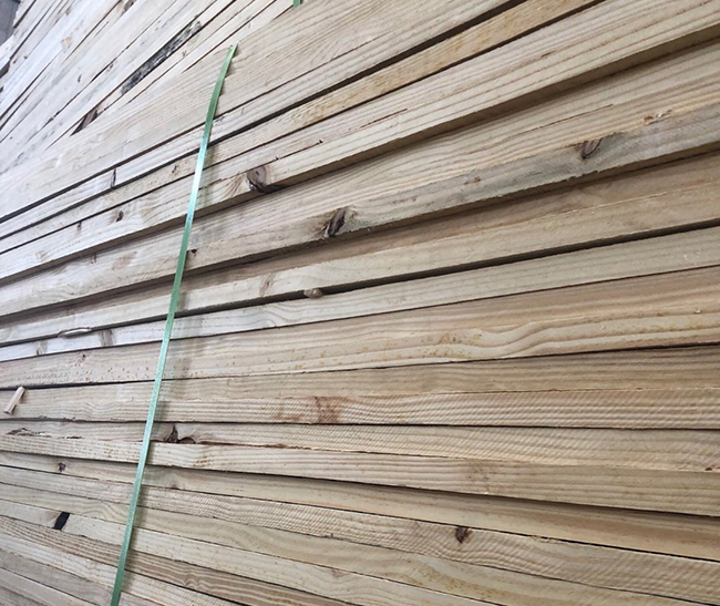 老城镇巴西松